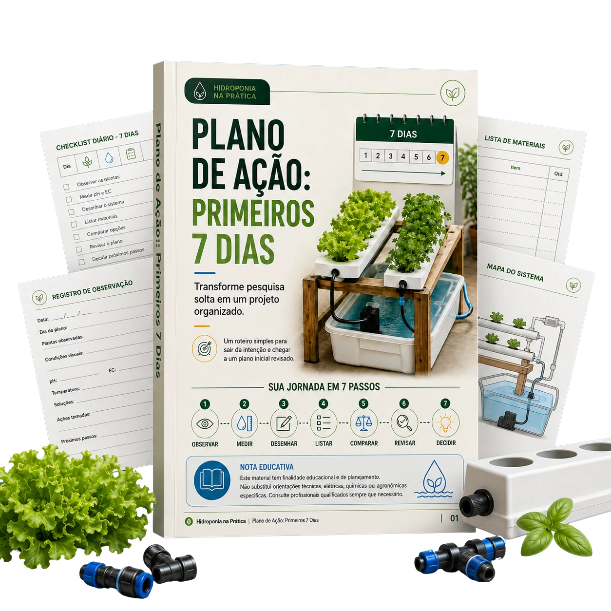 Plano de Ação: Primeiros 7 Dias