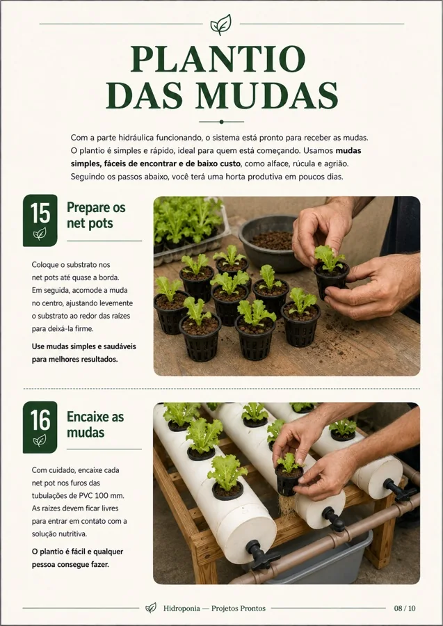 Página 8 — Plantio das Mudas